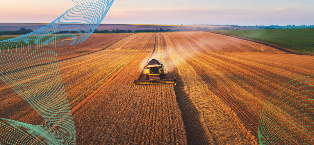 What the food security data says about solar